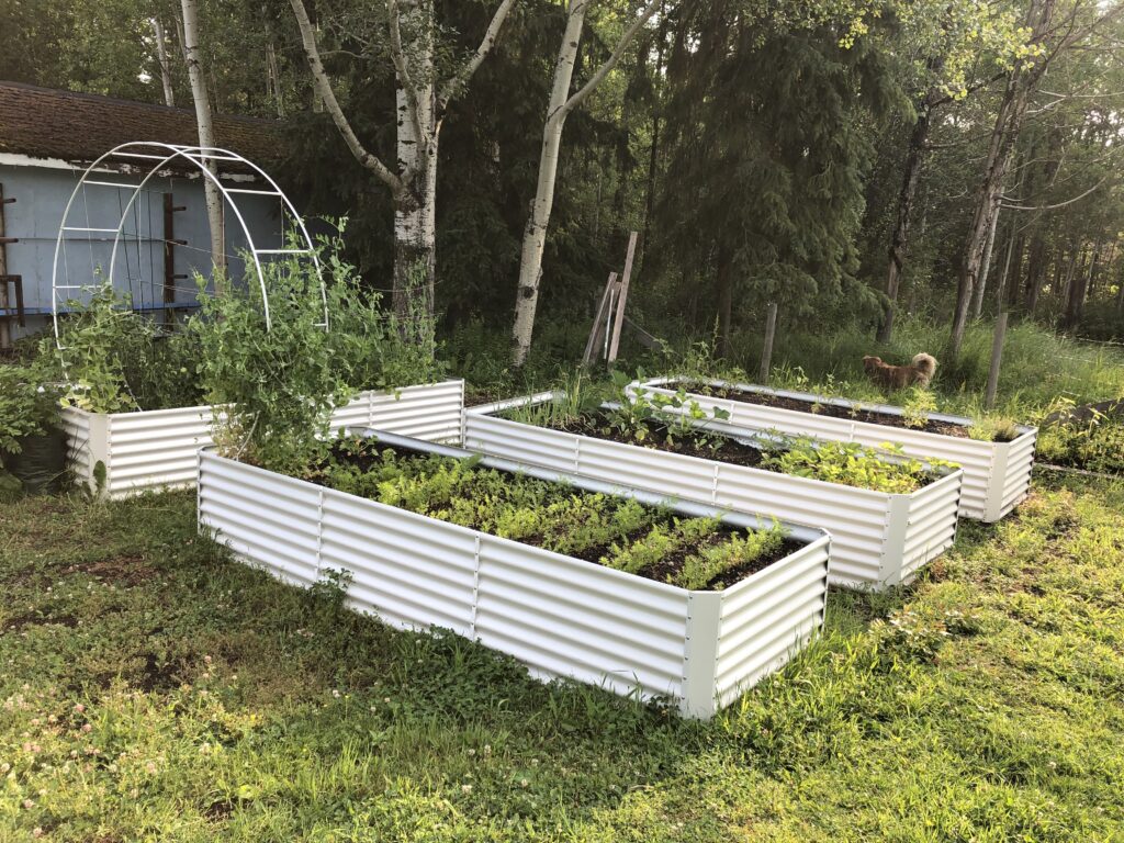 Raised garden beds