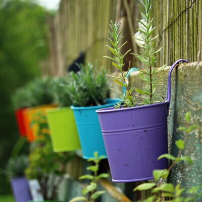 Container and vertical gardening