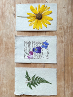 Arrange pressed flowers on paper or canvas