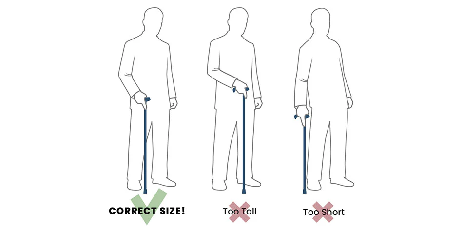 Proper cane height showing handle aligned with wrist crease and slight elbow bend
