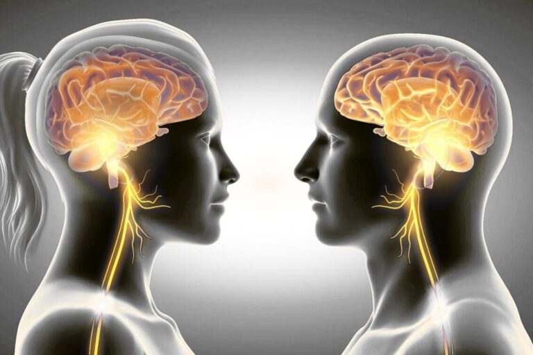 Vagus Nerve Stimulator Alternatives